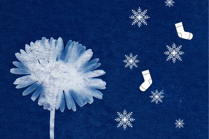 winter verwonderen beeld zonder tekst