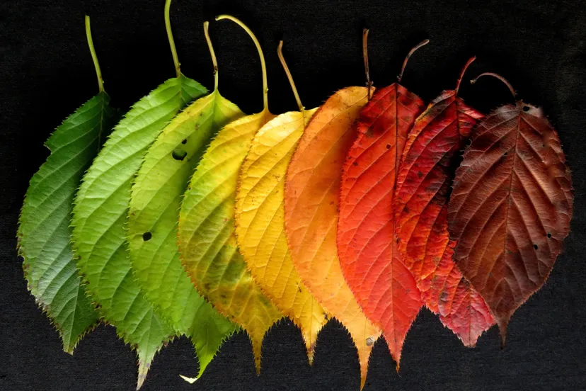 240824 nieuwe ronde 3