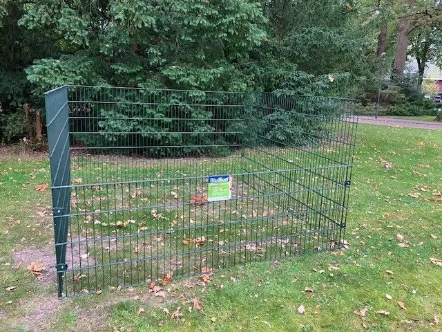 462748364 953099906856027 7068045354877482202 n