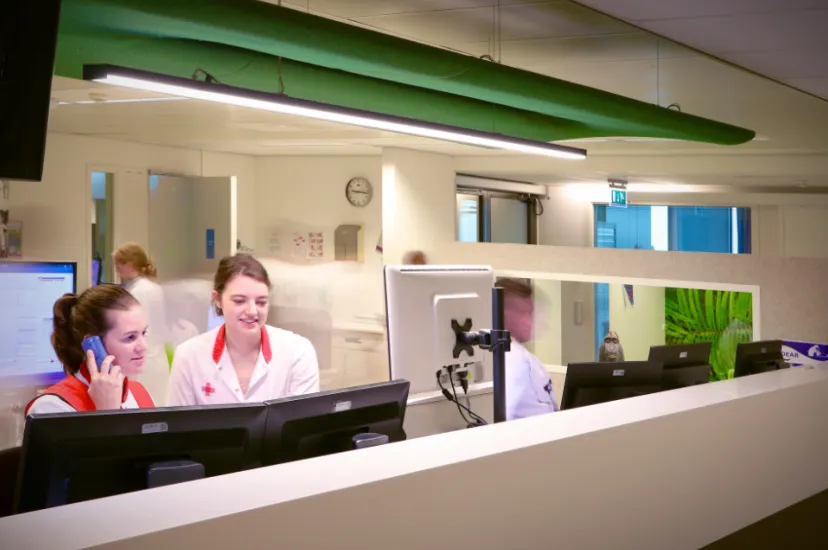 prikkelreductie seh 3