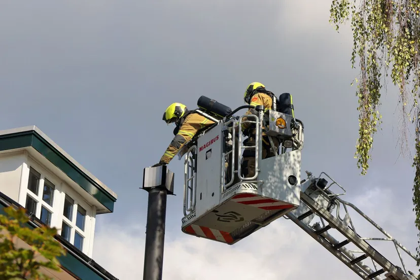 thomas 20241003121153 3