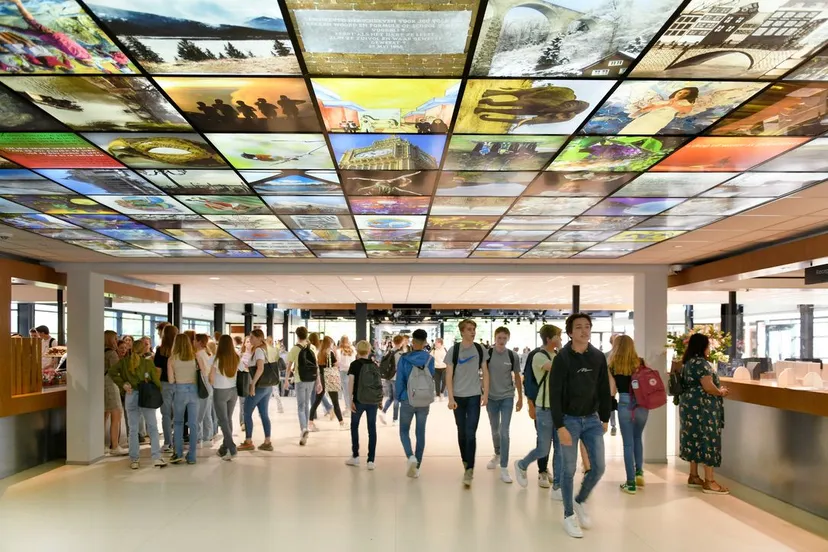 66afe395 d3e4 4453 9488 045f2a6f3e68 1 105 c