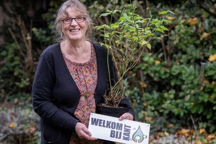 eg ankie 31102024 lr 001