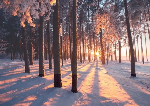 foto winterschool klein