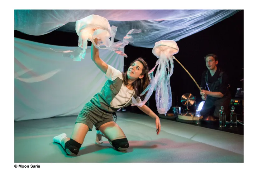 malou van sluis vaarwel moon saris 7