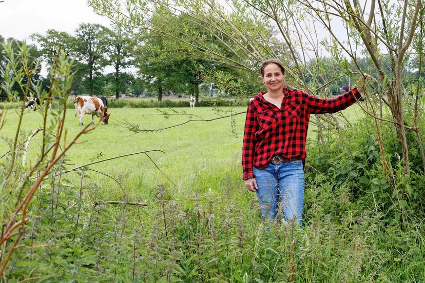 manon van balkom copyright jan zandee