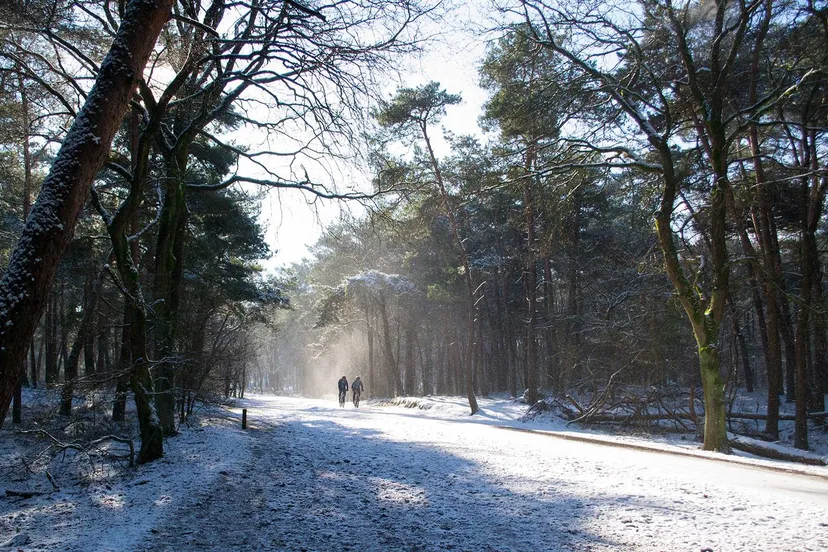 250126 mm wintertijd2 kl3