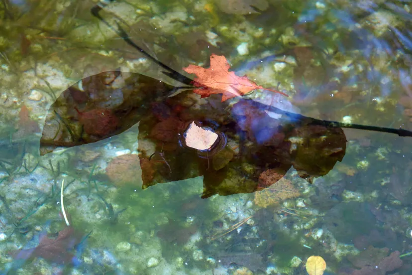 250223 mm klassiek met keeskl