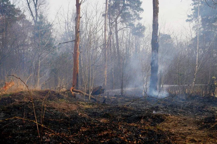 2025 04 21 meesters multi media fotos brand vught heide vught24