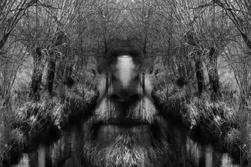 winnaar elise van de pol 67040f597be38jpg