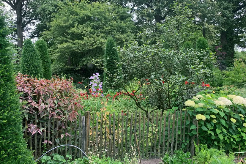 250424 natuur en tuin door kant kl
