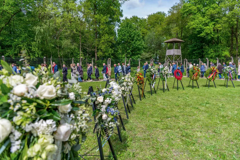 zhj7ybs1hn4qia4yceap1tuujwlckhnlzsrawmyh