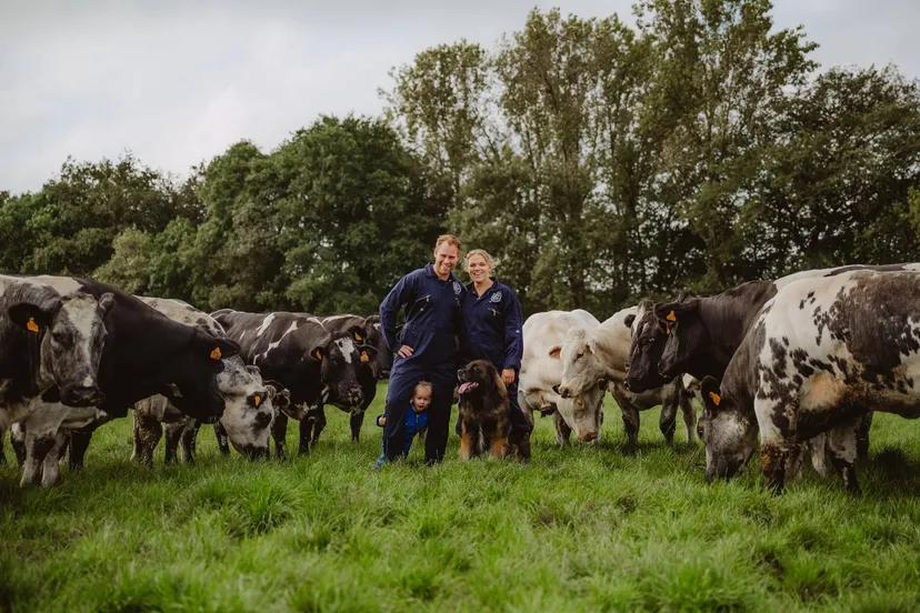 8b800f59 ceb8 45c7 83bb 2cb3719bef94