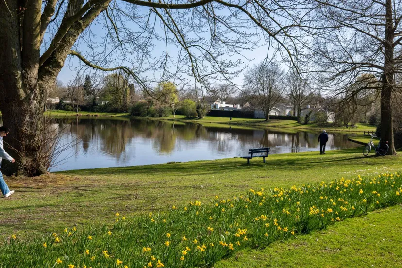 hoog20en20gazon 2jpg