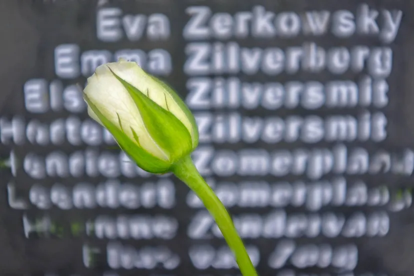 joxoaktf1htvefiyzcff9a8esbdyuquexmf1xlr6