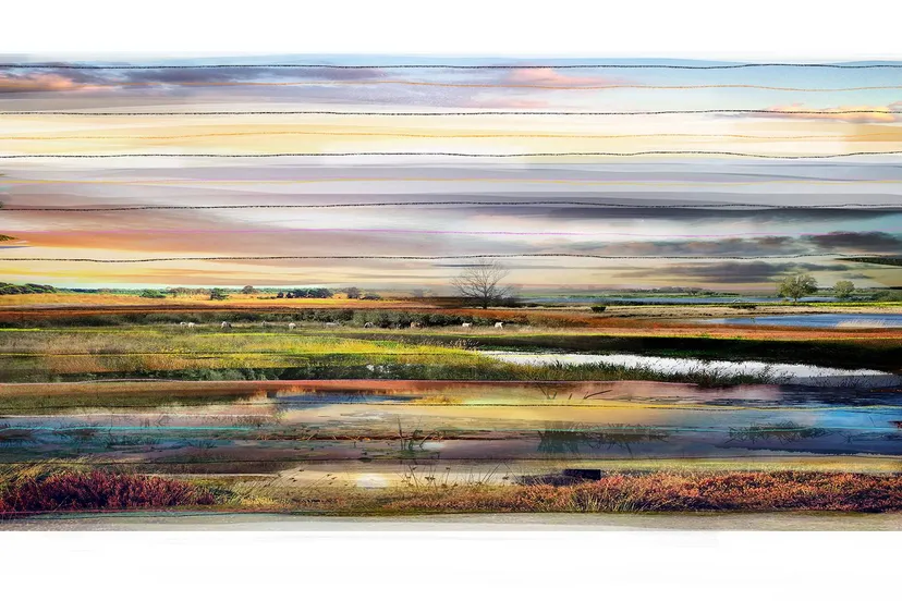 COLLECTED NO.21 bw LR