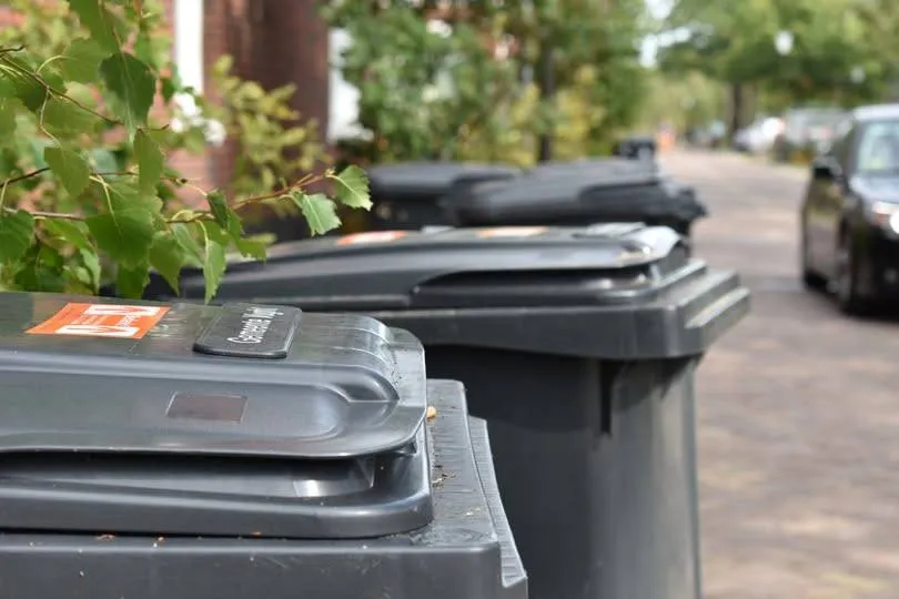 528765755_1177456471087035_7074825273721612854_n