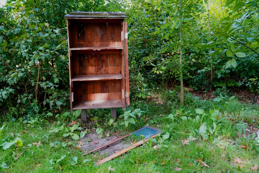 Bart_Meesters_1eab0bd3-675a-473c-888f-8f1b9ea33c33