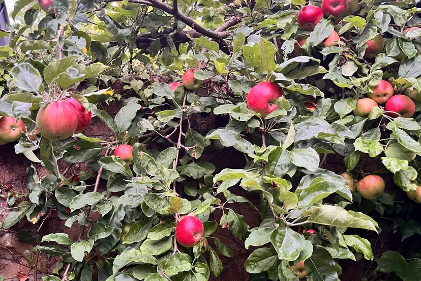 9d6b5f5d-43b7-471e-92fe-42fb77c94ff3