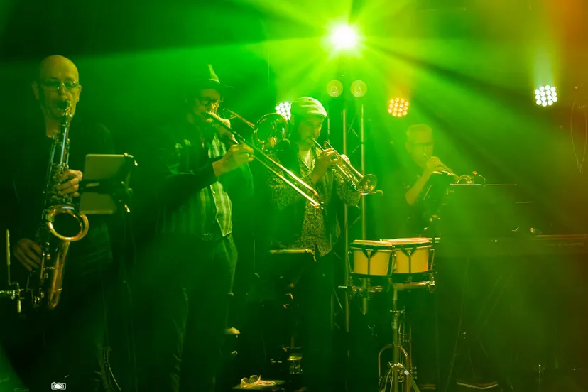 THE MAVERTRICKS A TRIBUTE TO THE MAVERICKS - 080