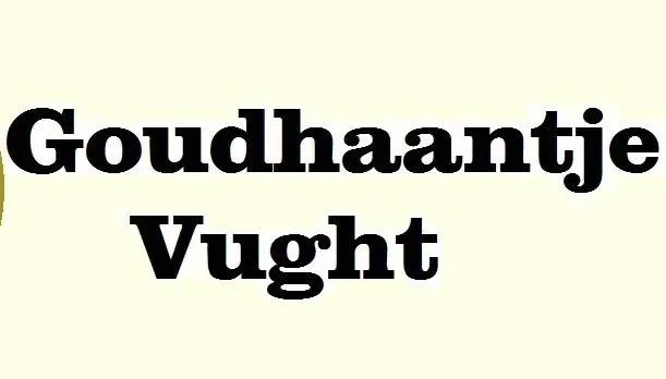 33333333333333333333