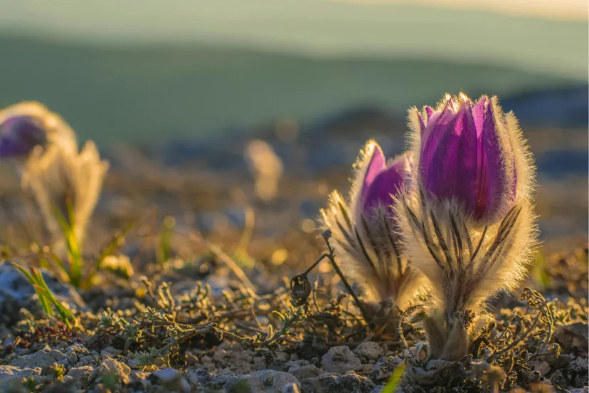 260322 MM LENTE JOOP