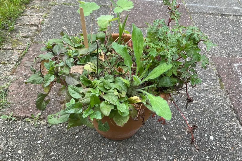 image0