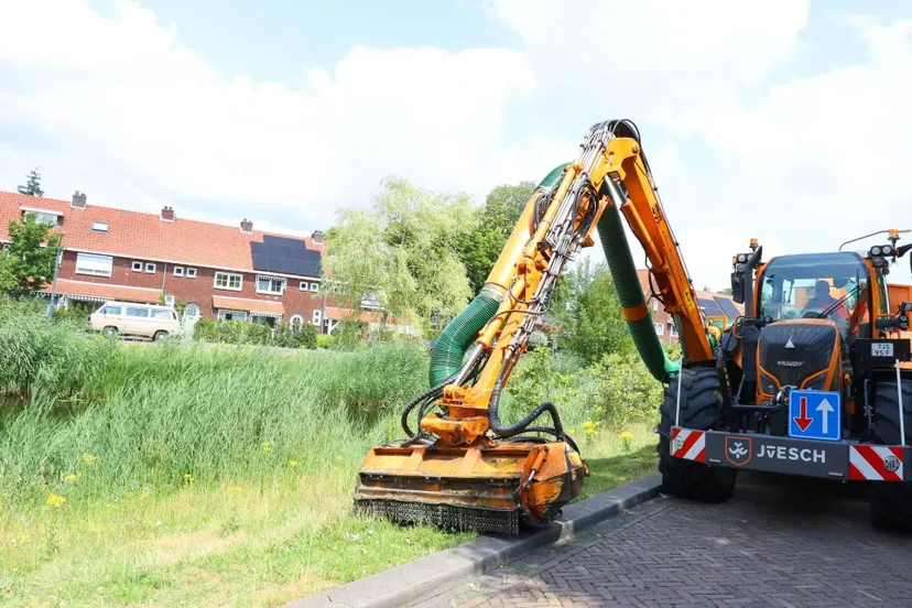 Maaibeleid