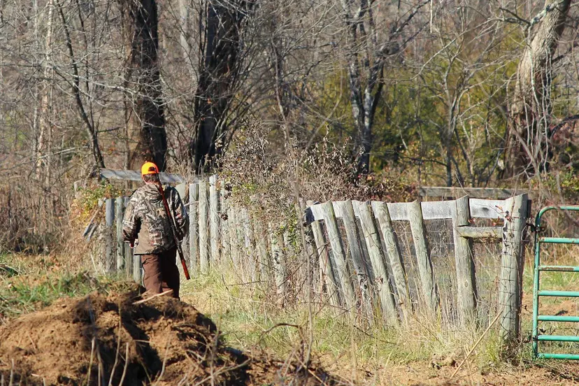 jamesdemers-hunter-67002_1920