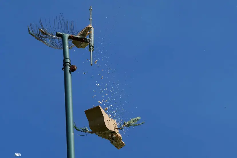 koningsvogel valt. Foto Cees Ringelberg
