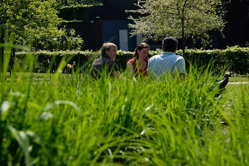 Kloostertuin met groepje (large)