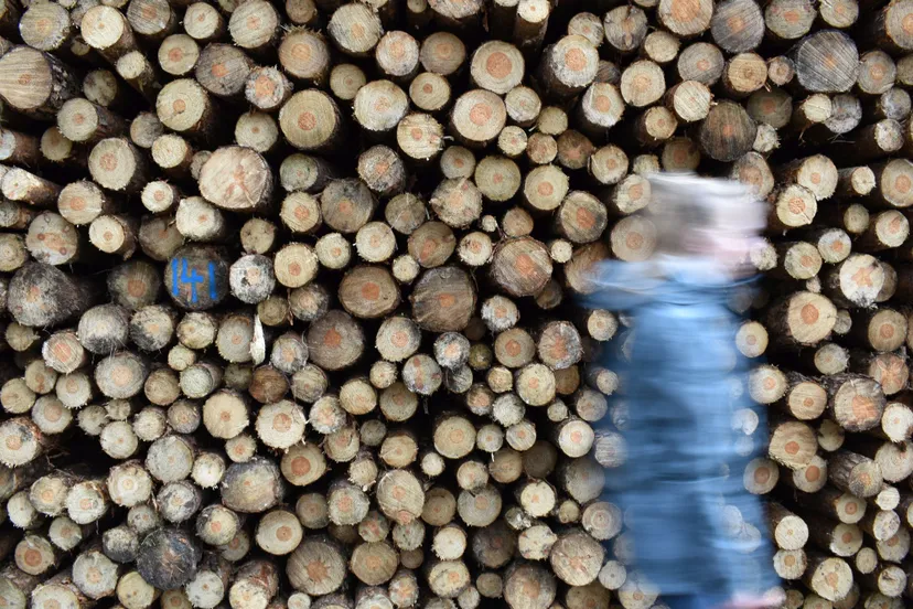 01 anika verhoeven kus 2021 2022