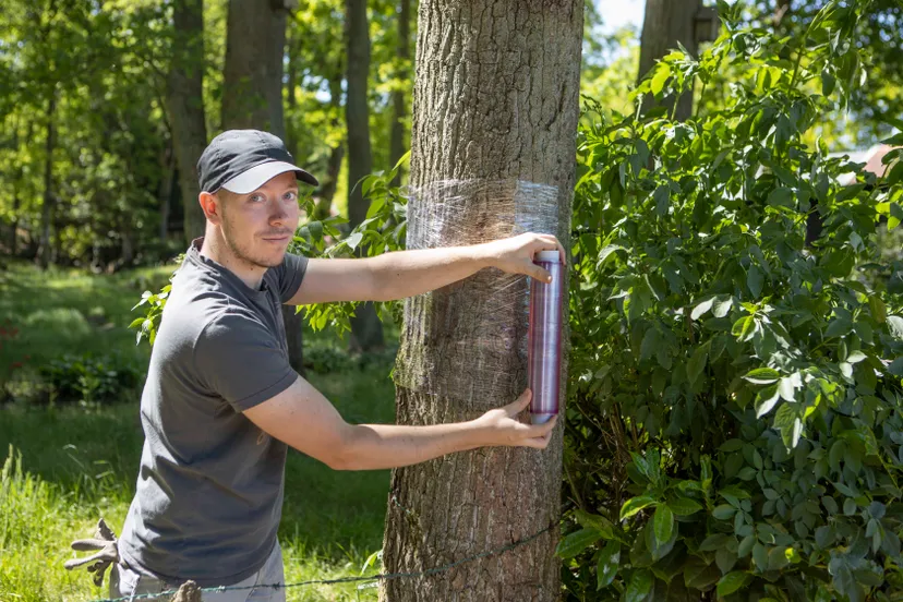 09052020 rondje loonse duinen 028