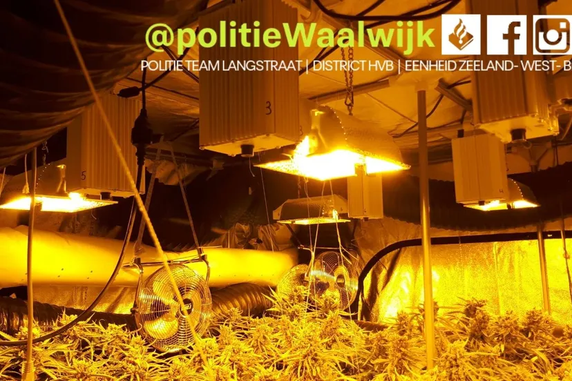 100046707 608465516422722 7828547279668641792 o