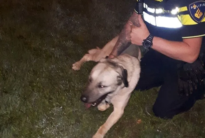 104433693 626645024604771 5752205222084468940 o