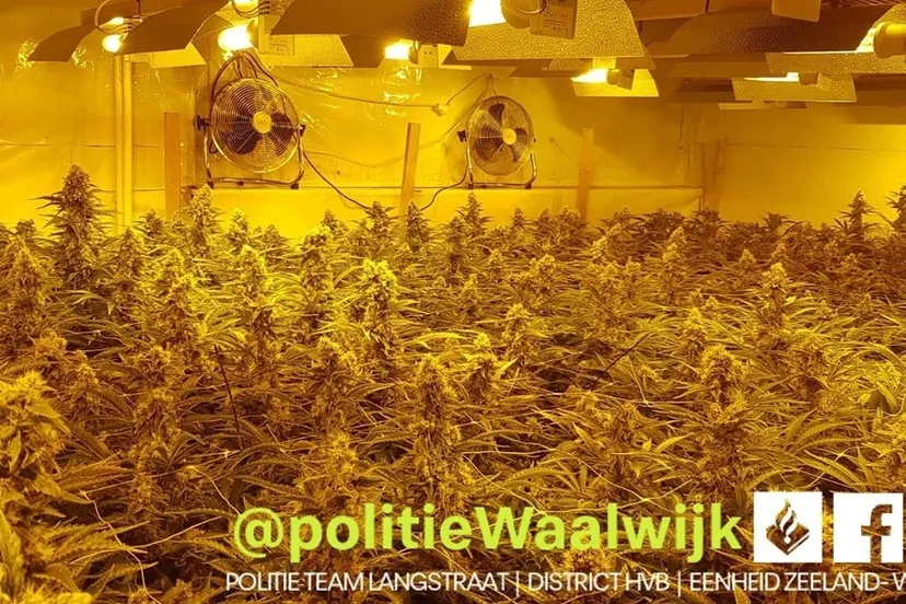 105584770 630116664257607 4265435248936592331 o