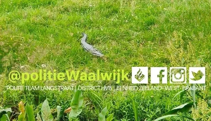 106330943 633403463928927 4097404767090864675 o