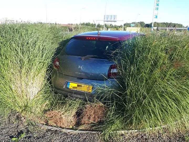 116790958 655012291768044 7253100483554472331 o