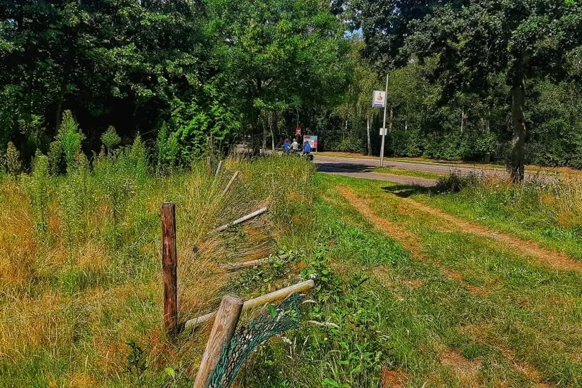 117117490 656498448286095 2460954570834723008 o