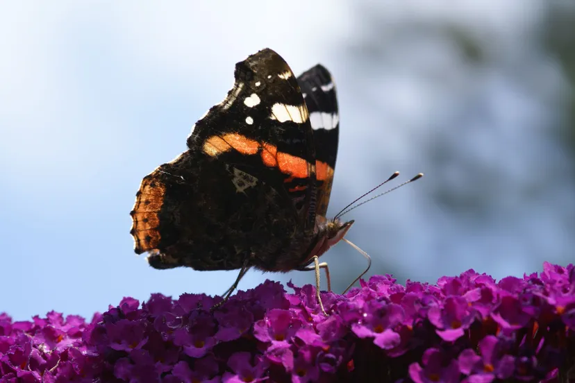 1269 802919956f269fbd6e4ee21aae707198