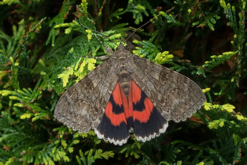 1269 c679fbb3ca53b91c8b2ccb285003790e