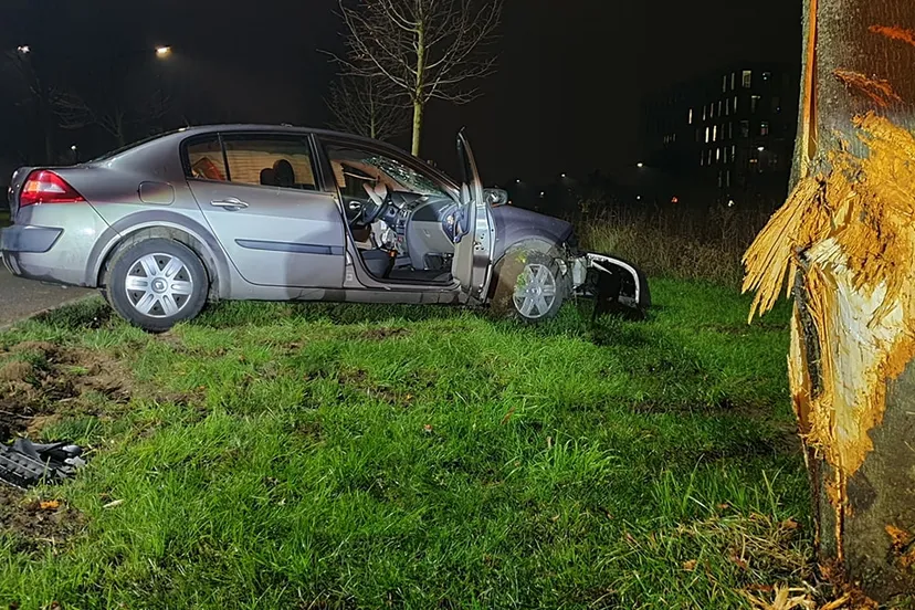 130803127 742342999701639 8274334367535589654 o