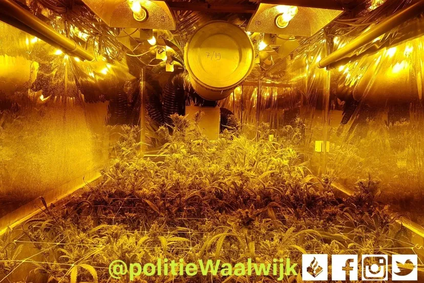 131453281 746472549288684 6416733947902623250 o