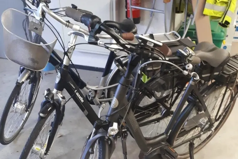 132796260 751420465460559 6137466539407575007 oa