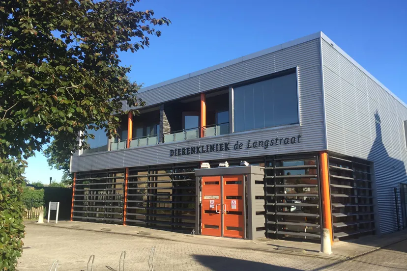 13653101 1349374645090987 8175253689433854991 o