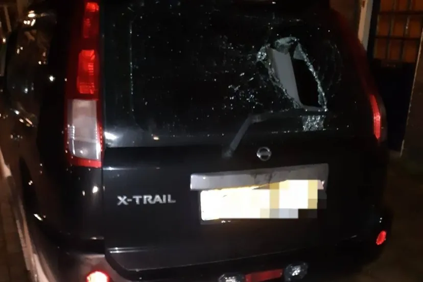 146395514 773776429891629 2945665767728768542 o