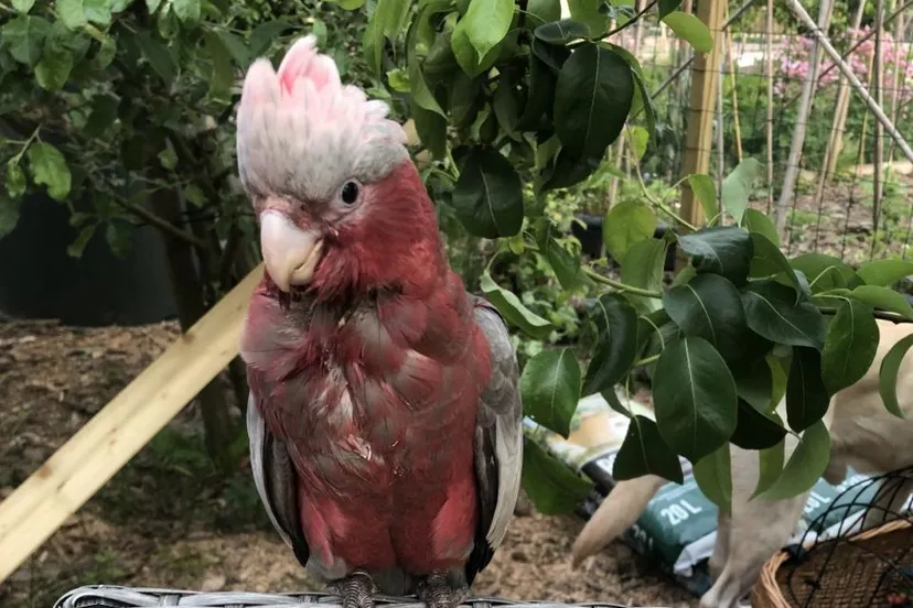 1467452 t9o7qxq3 xlwm