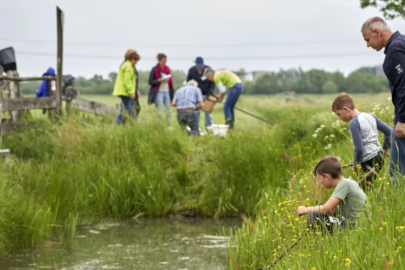 1584 097492535f07055965934d28139ddd1f