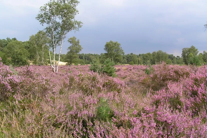 1584 95a1d5523e1c5e73c6d9c04ff709f2c9