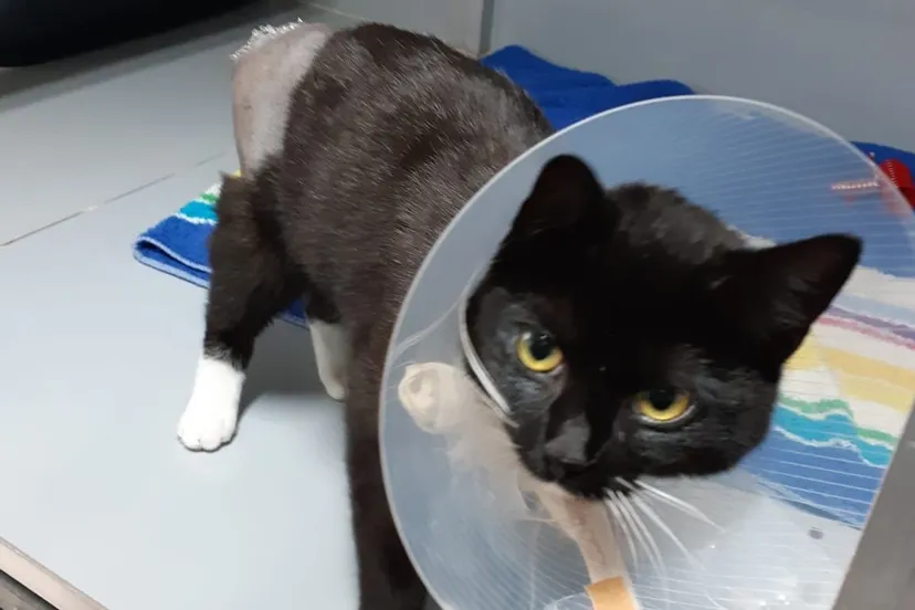 159995049 792260924709846 705920810853068671 o